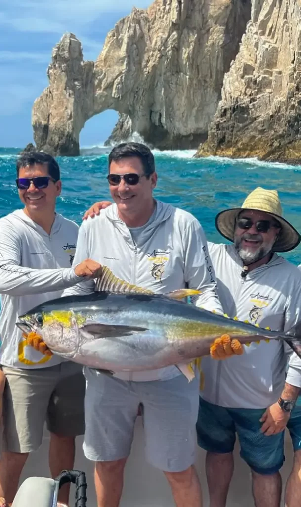 Our tem stormpanel company Los Cabos BCS